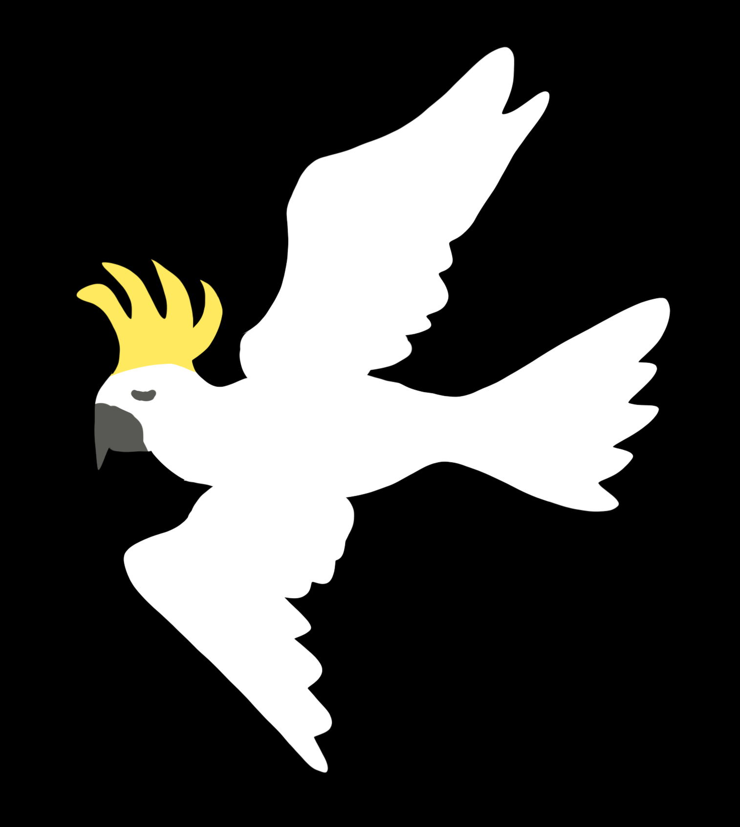 Cockatoo