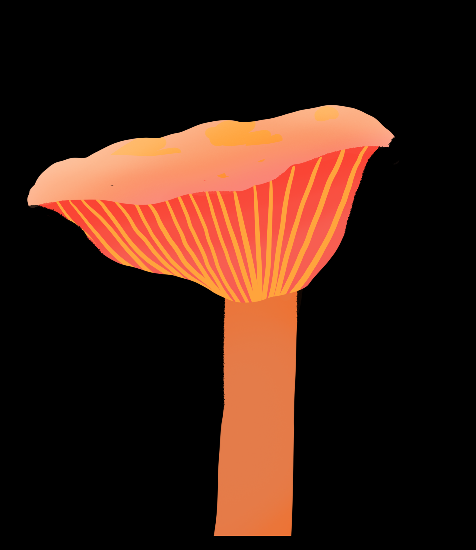 Coral Mushroom